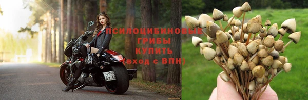 СК Верея