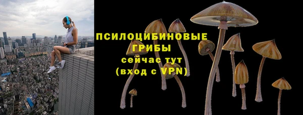 СК Верея